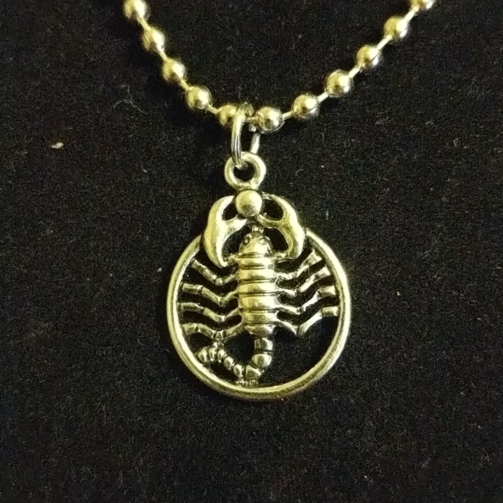 Scorpion necklace on 18 inch chain